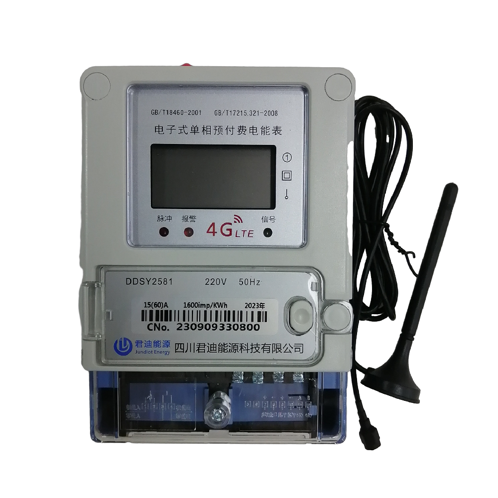 Single-phase intelligent wall mounted electricity meter